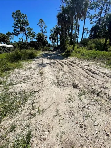a view of a dry yard with trees