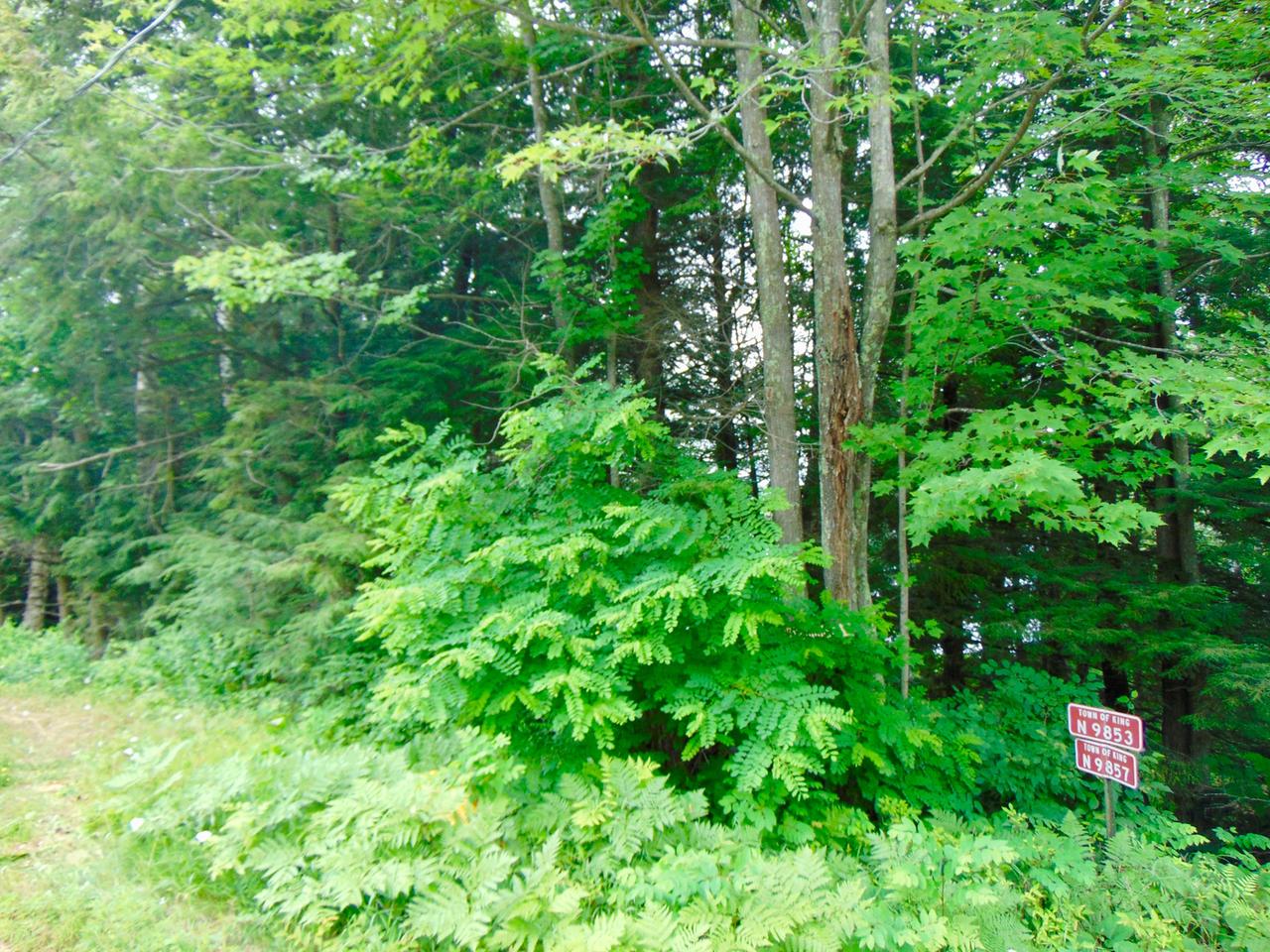 N9853 Birch Road Tomahawk, WI 54487 - Photo 4 of 12 Gallery Image 4