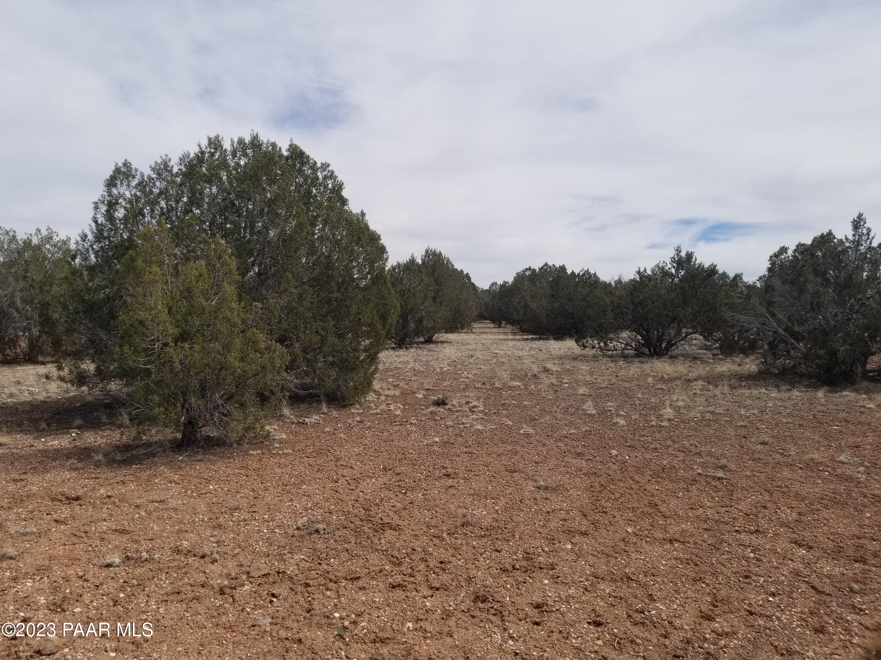 376 Haywire Road Ash Fork, AZ 86320 - Photo 3 of 10 III