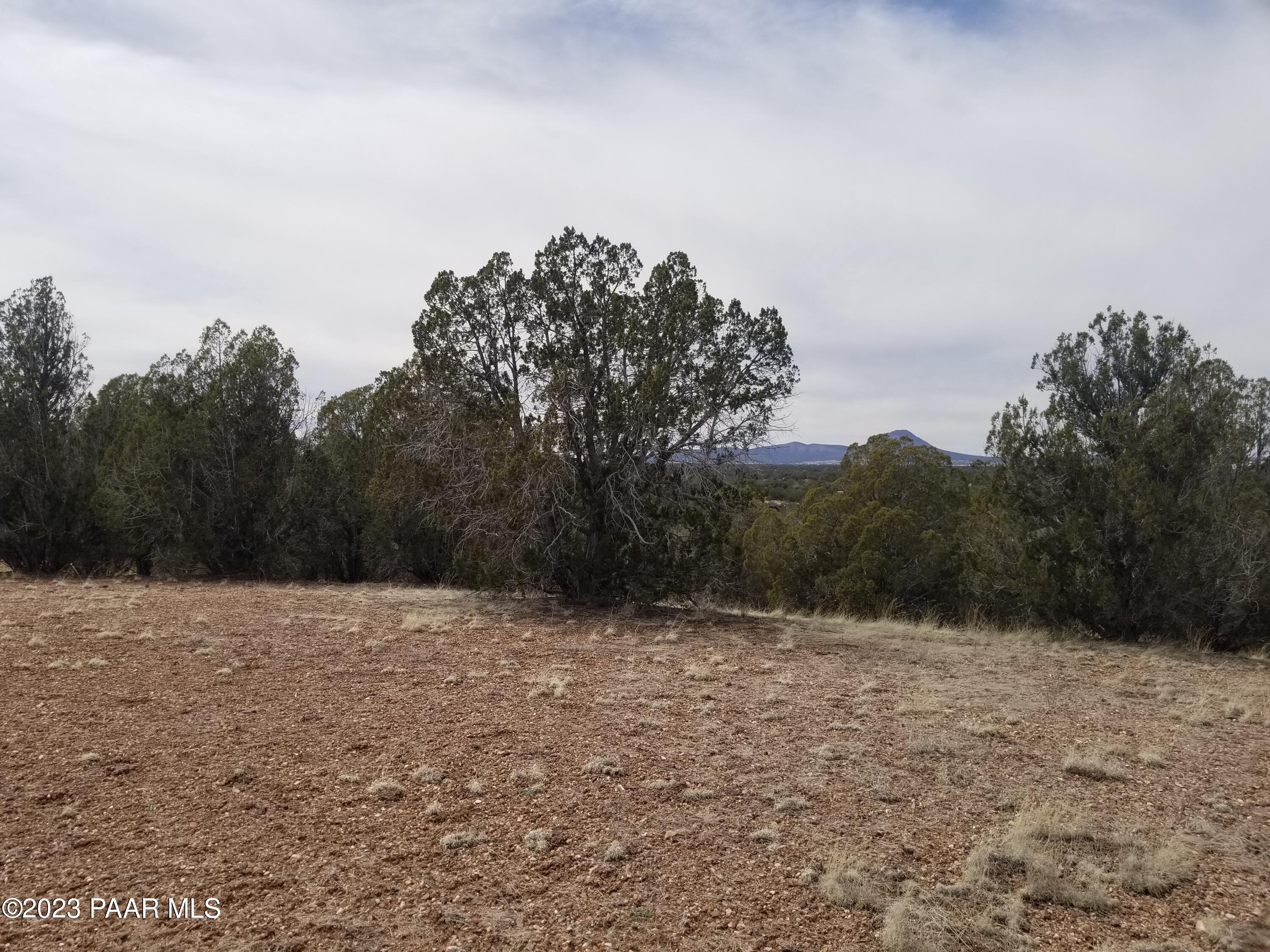 376 Haywire Road Ash Fork, AZ 86320 - Photo 4 of 10 YYYYY