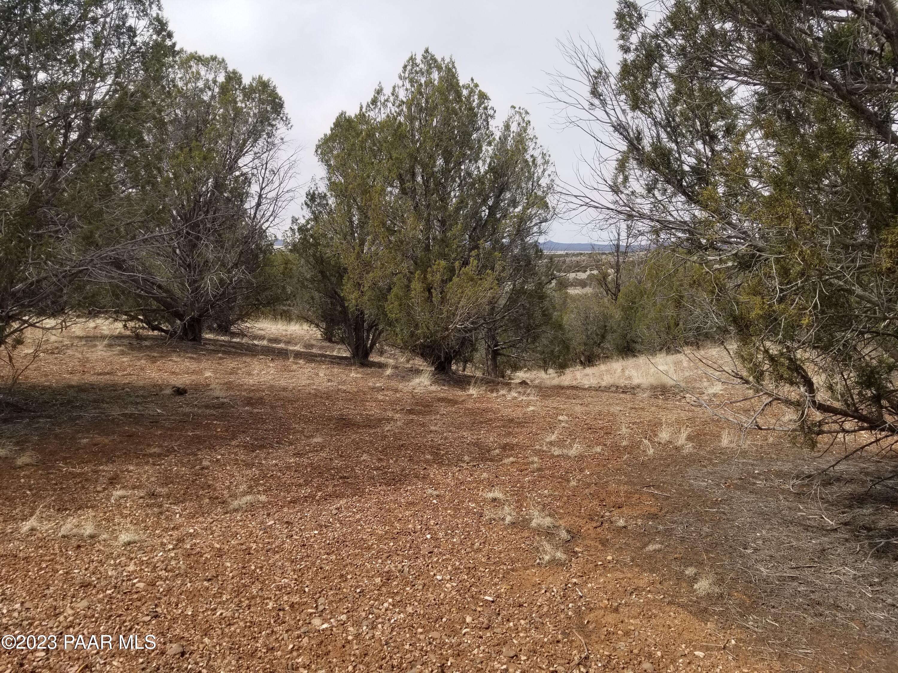 376 Haywire Road Ash Fork, AZ 86320 - Photo 5 of 10 GGGGG