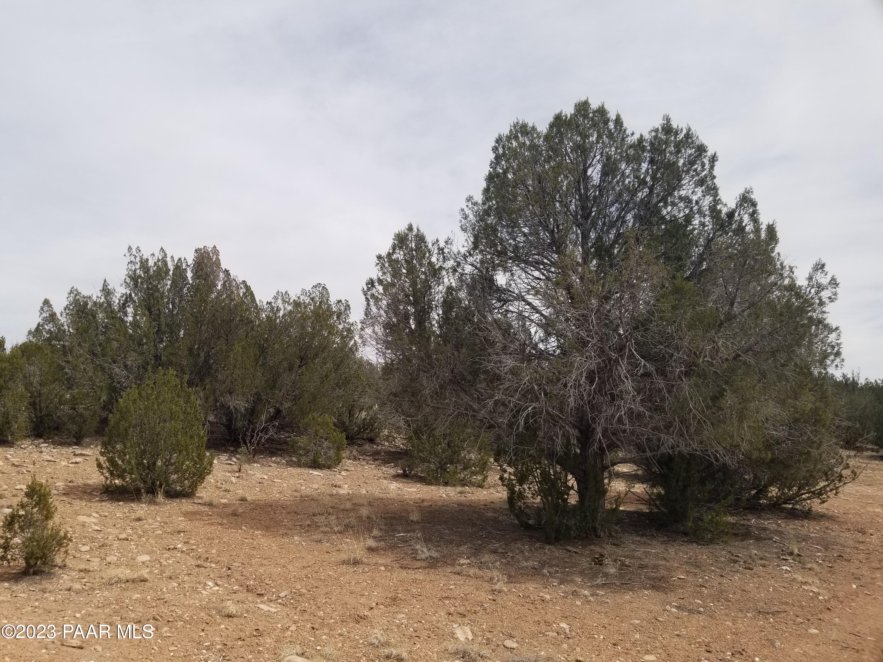 376 Haywire Road Ash Fork, AZ 86320 - Photo 6 of 10 RRRR