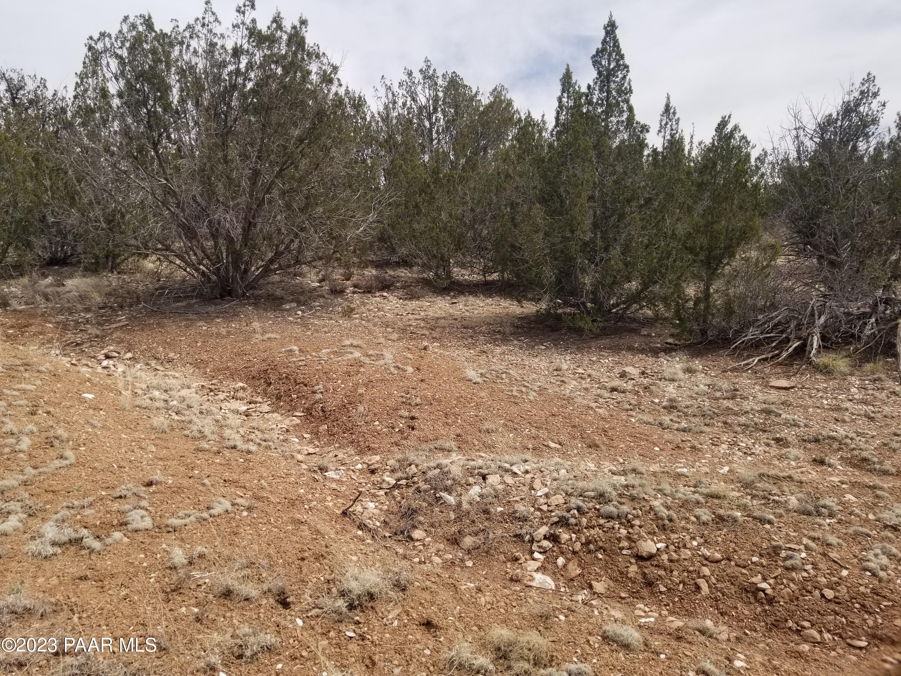 376 Haywire Road Ash Fork, AZ 86320 - Photo 7 of 10 BBBB