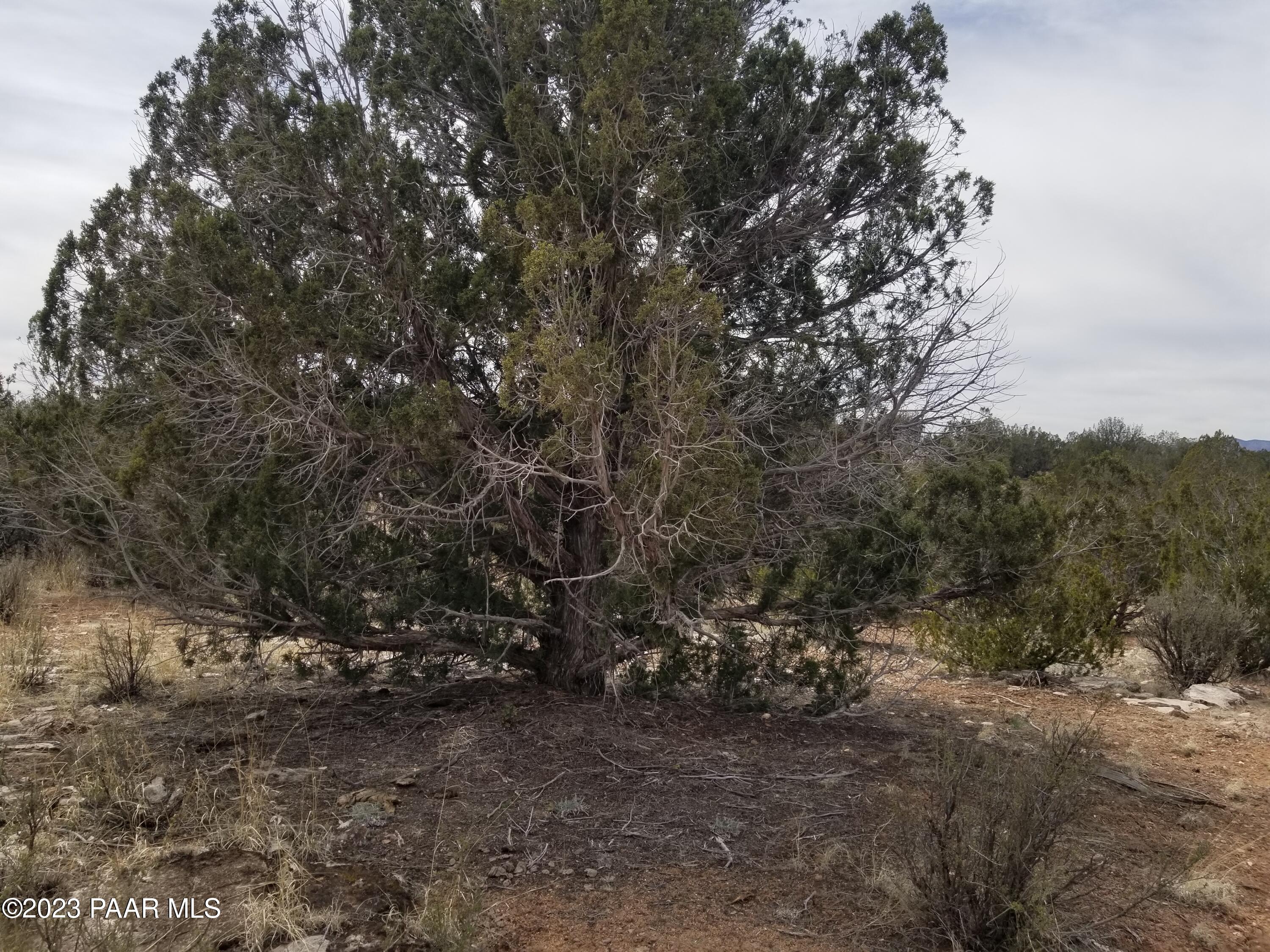 376 Haywire Road Ash Fork, AZ 86320 - Photo 8 of 10 KKKKKKK