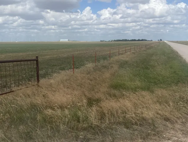 a view of a dry yard with wooden fence