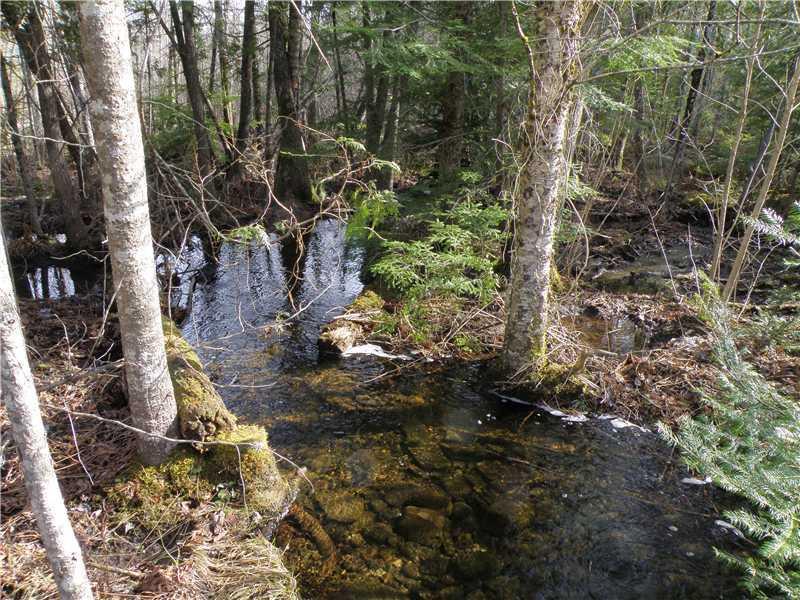 0 Rabbit Path Corinth, ME 04427 - Photo 8 of 11 Land/Lot. the brook that feeds the...