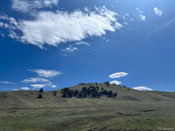 $41,500 | 110 Watonga Road, Hartsel, CO 80449