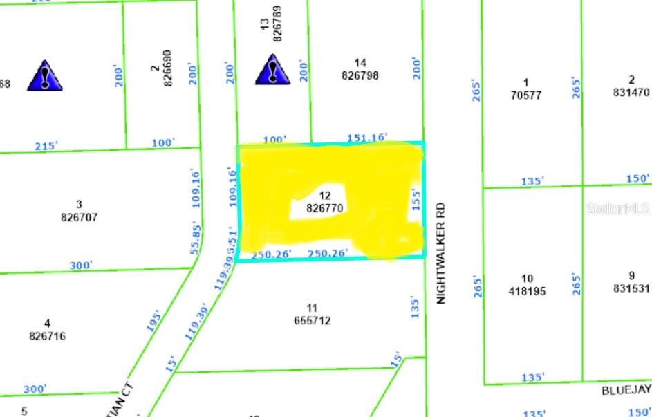 0 Nightwalker Road Weeki Wachee, FL 34613 - Photo 4 of 4