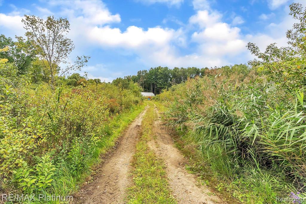 14503 Bird Road Byron, MI 48418 - Photo 48 of 59