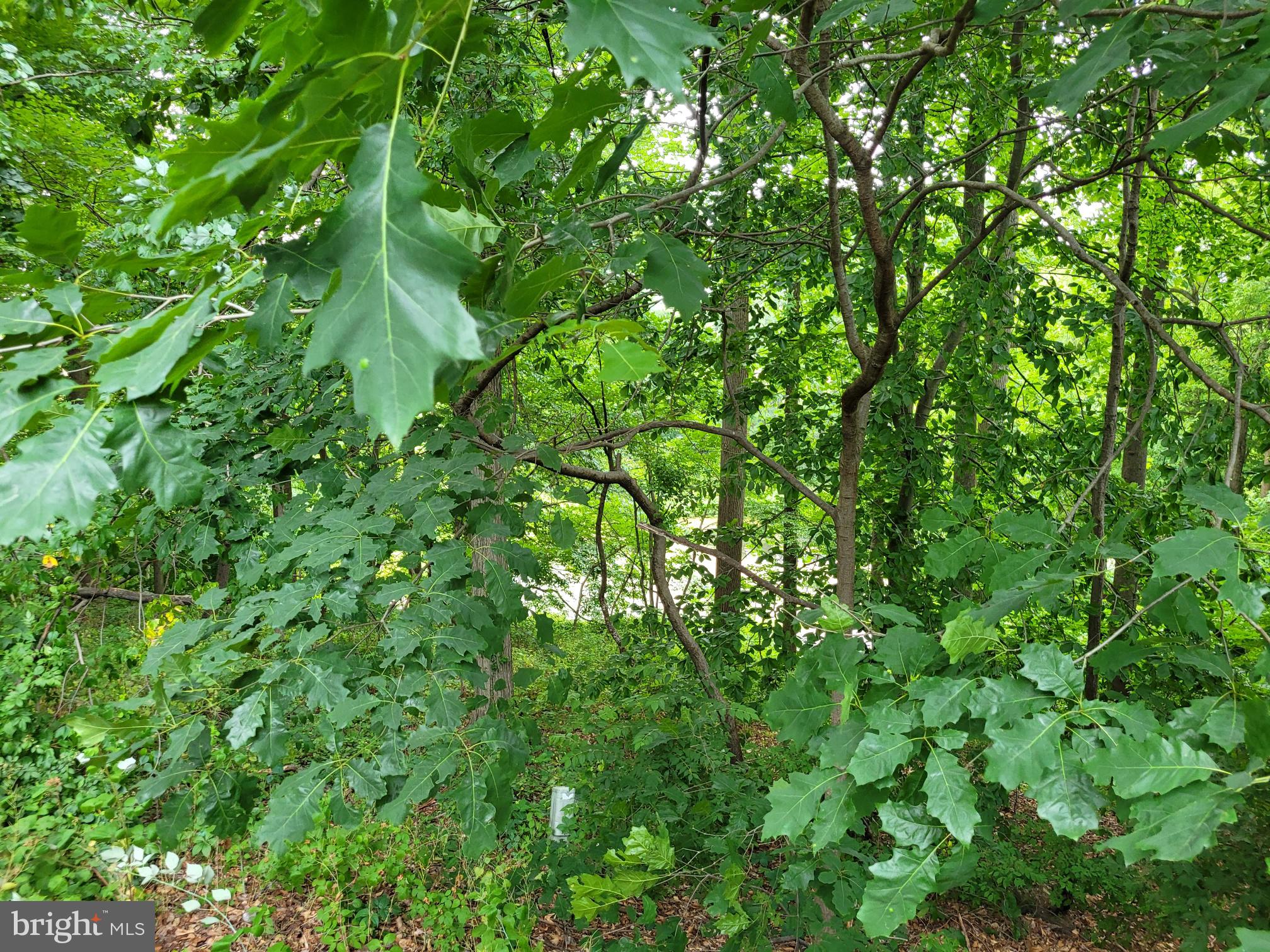 1010 Appleville Road West Chester, PA 19380 - Photo 12 of 12 Gallery Image 12