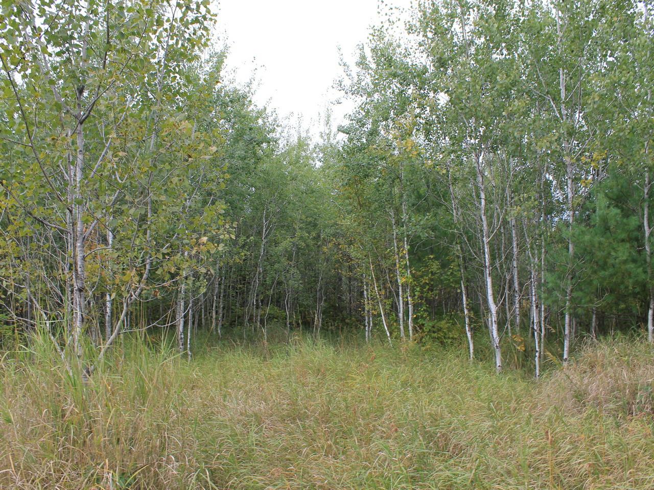 Three Ten Road, Unit LOT 16 Mercer, WI 54547 - Photo 9 of 9 Gallery Image 9