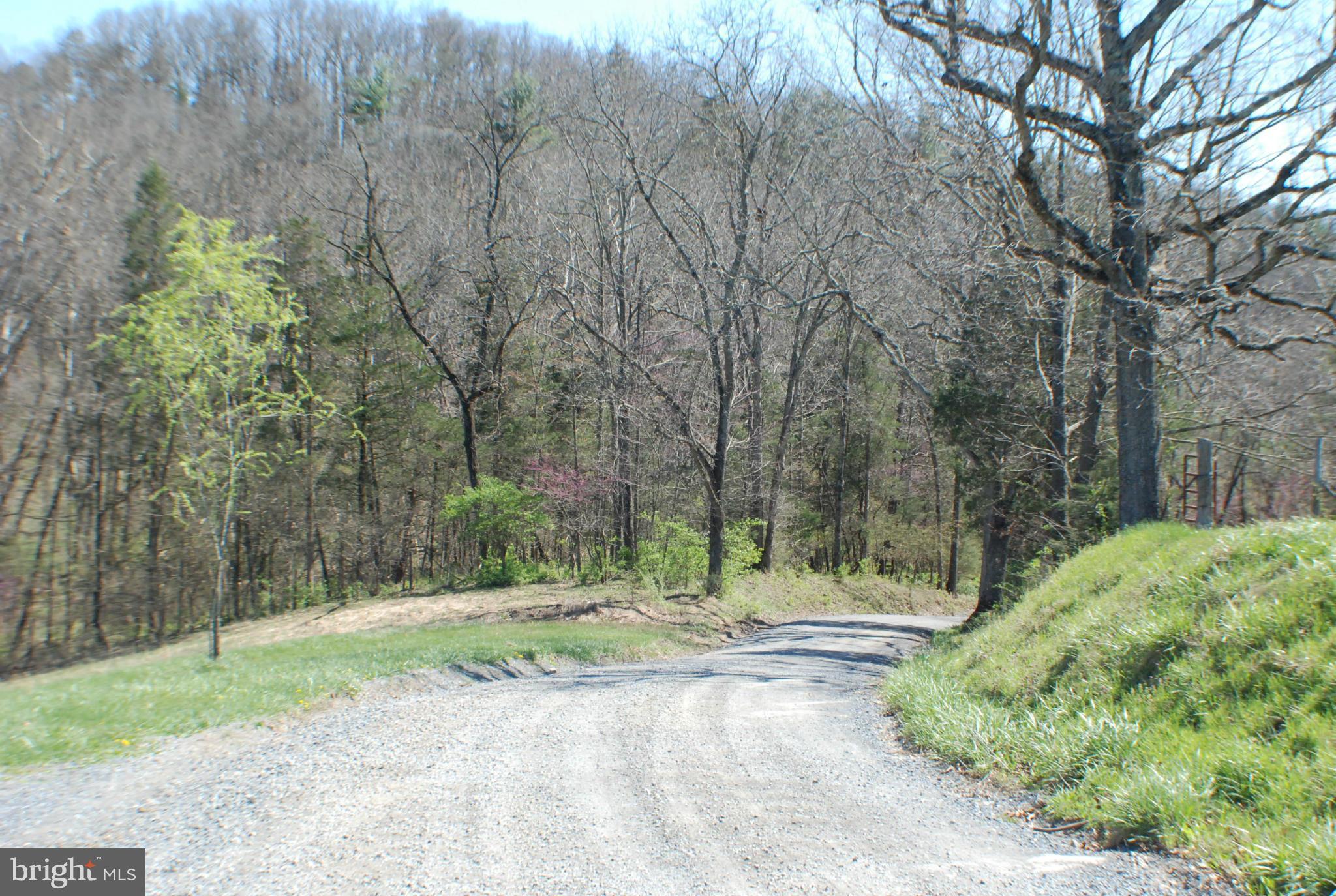 333 Riding Chapel Road Stephens City, VA 22655 - Photo 29 of 30 Road View