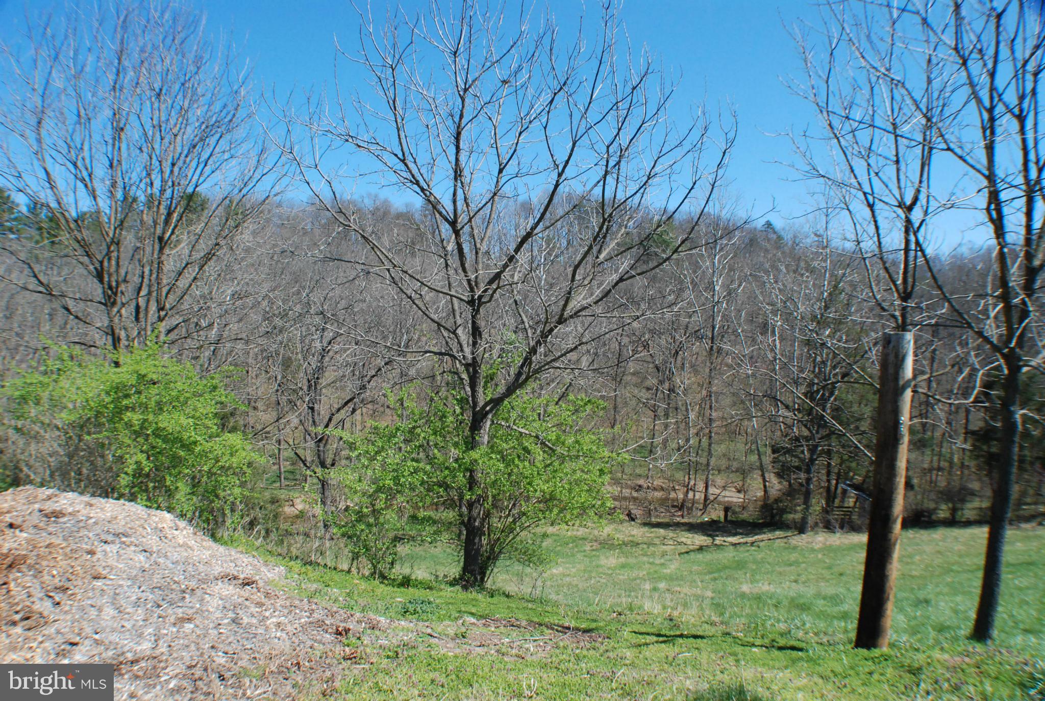 333 Riding Chapel Road Stephens City, VA 22655 - Photo 30 of 30 Mountain Yard View