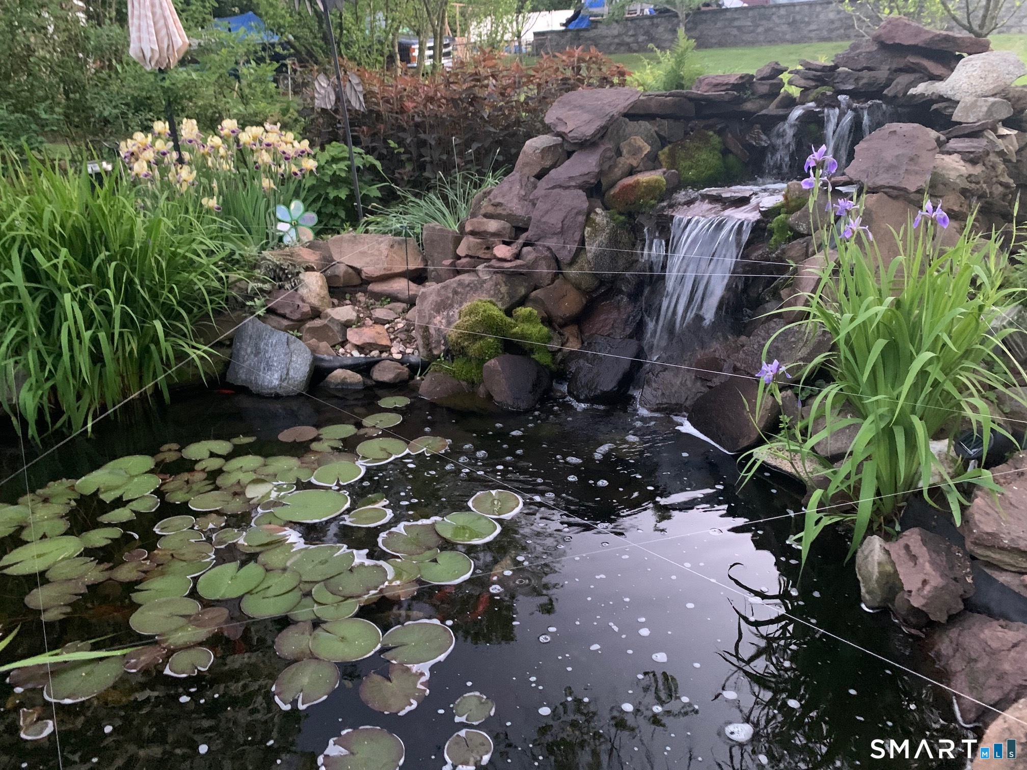 153 Country Club Road Middletown, CT 06457 - Photo 32 of 39 Koi Pond