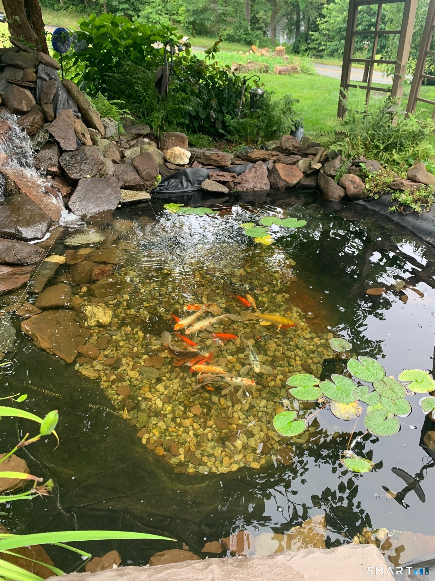 153 Country Club Road Middletown, CT 06457 - Photo 34 of 39 Koi Pond