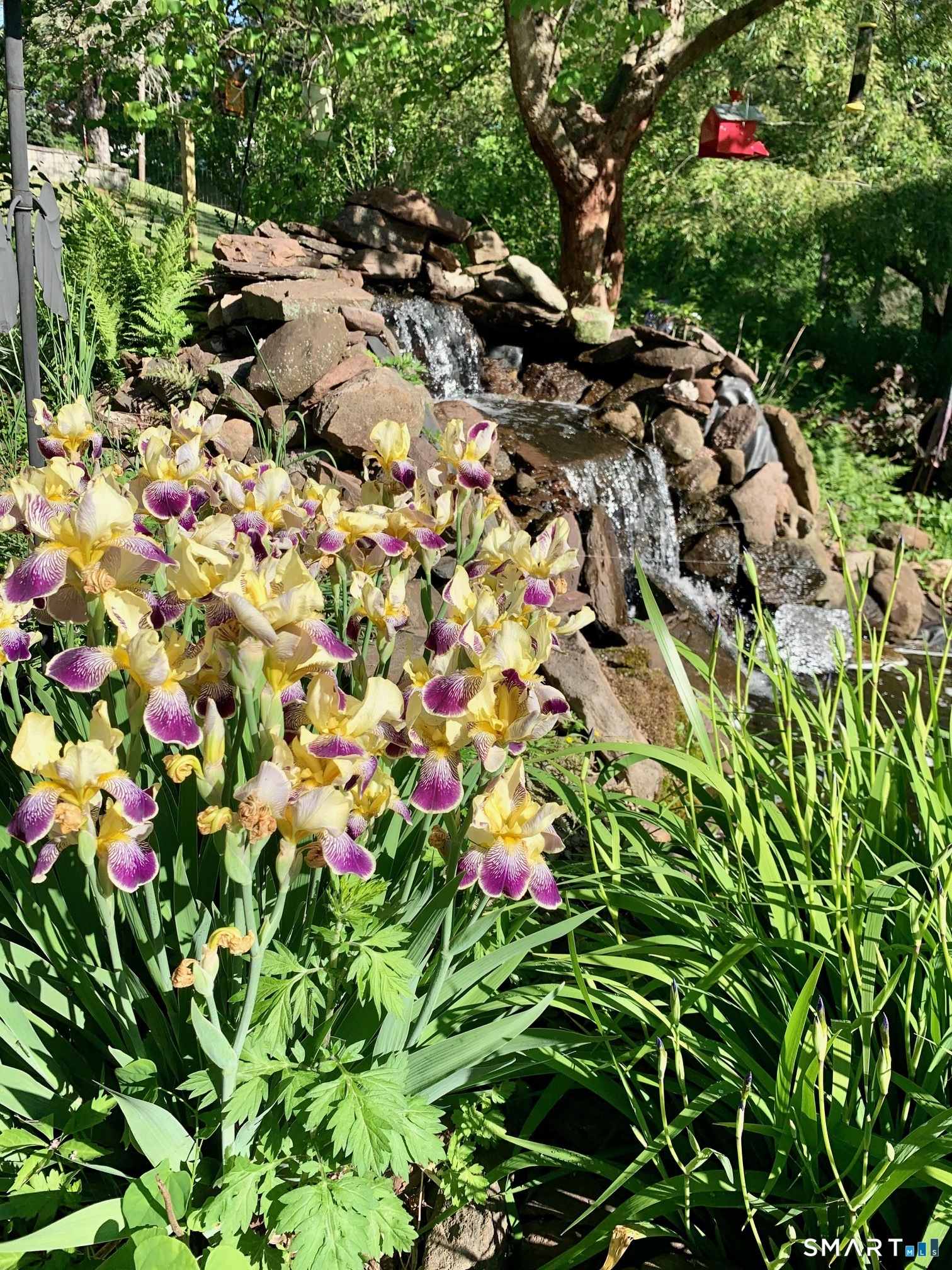 153 Country Club Road Middletown, CT 06457 - Photo 35 of 39 Perennials in Gardens