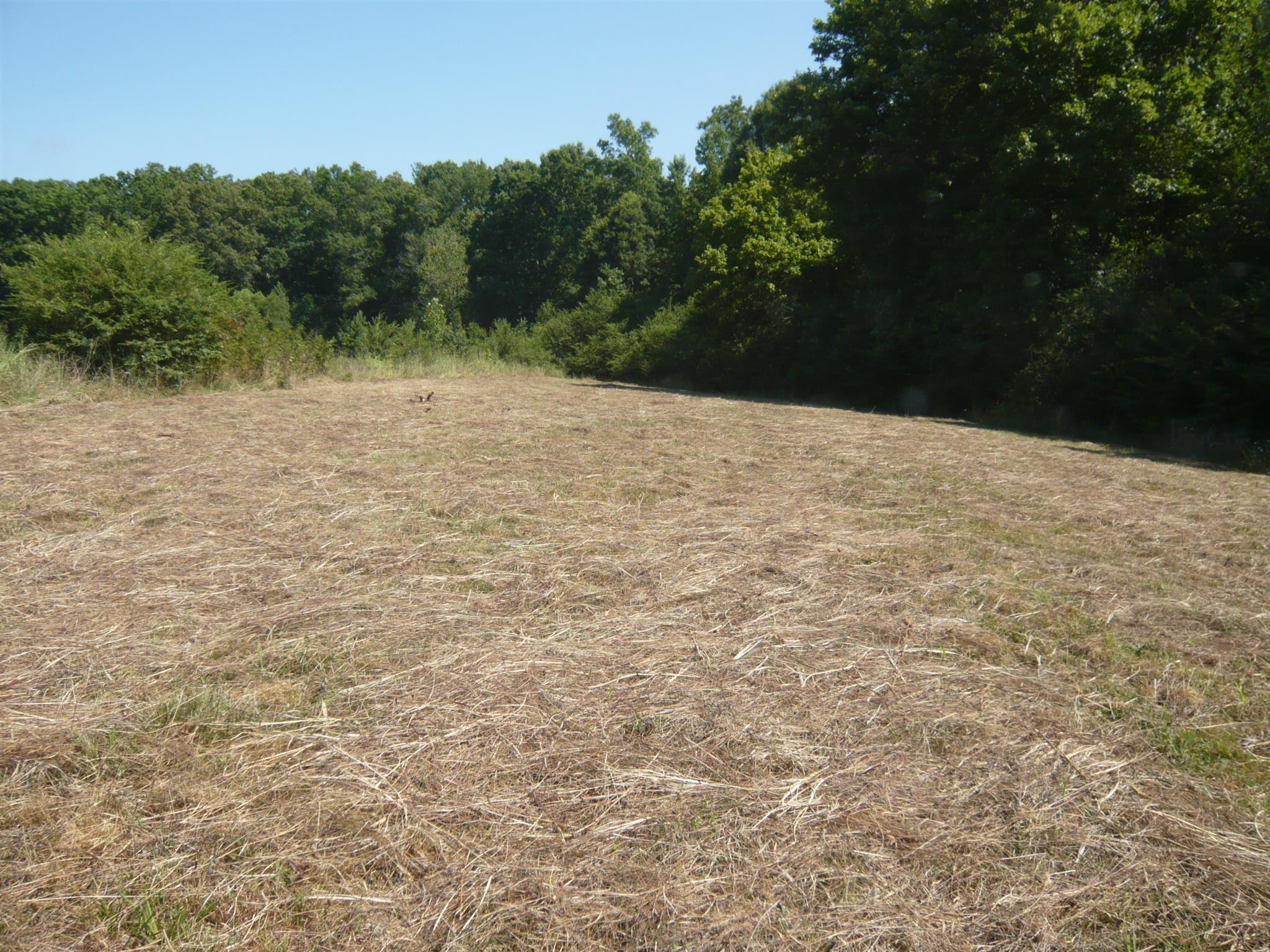 0 Coker Road Tullahoma, TN 37388 - Photo 3 of 5 Gallery Image 3