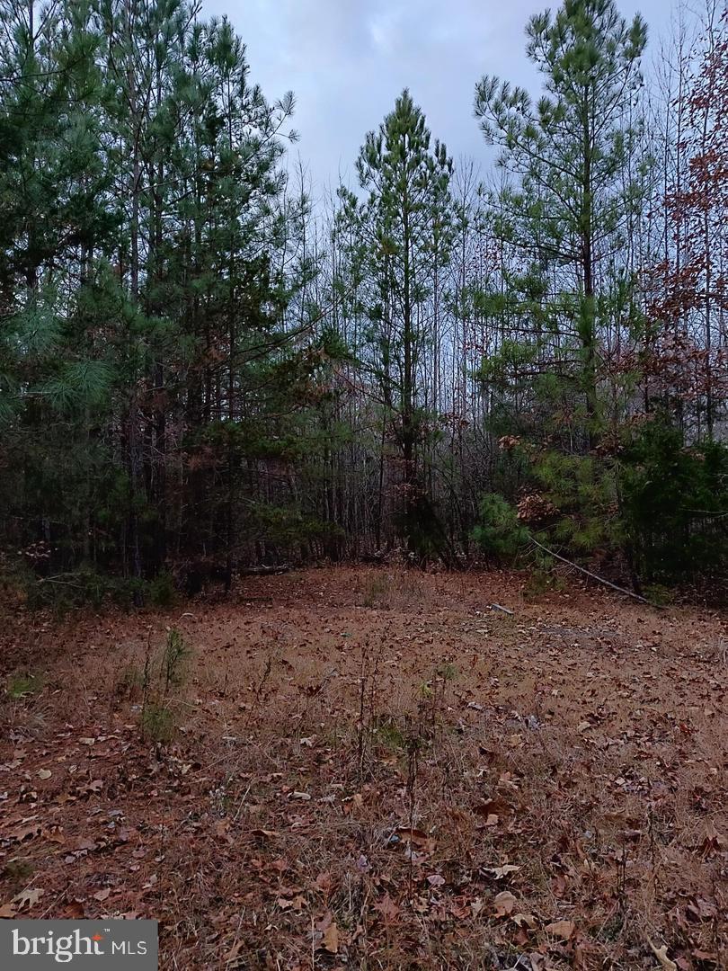 1 Us Route Ruther Glen, VA 22546 - Photo 2 of 8 a view of backyard with green space