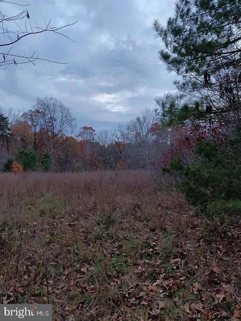 1 Us Route Ruther Glen, VA 22546 - Photo 3 of 8 a view of an outdoor space with mountain view