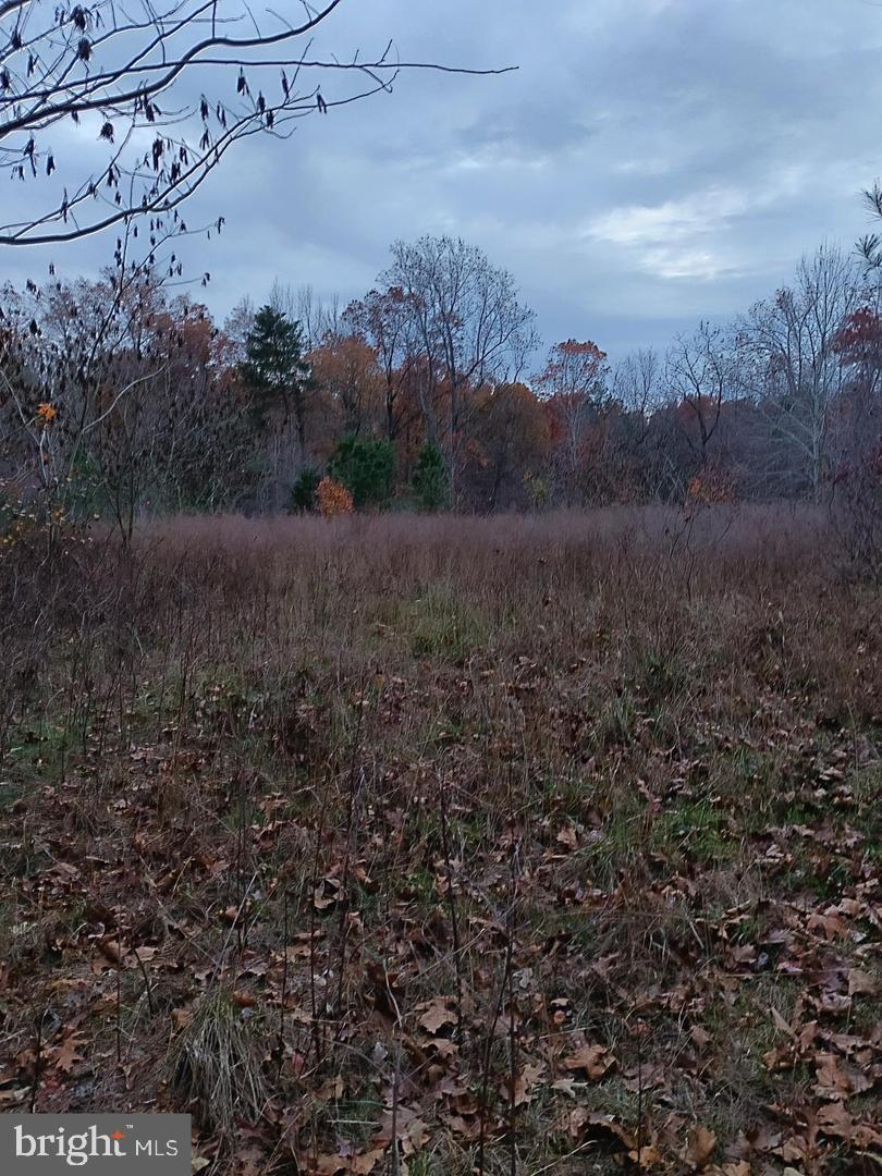 1 Us Route Ruther Glen, VA 22546 - Photo 4 of 8 a view of a dry yard with lots of green space