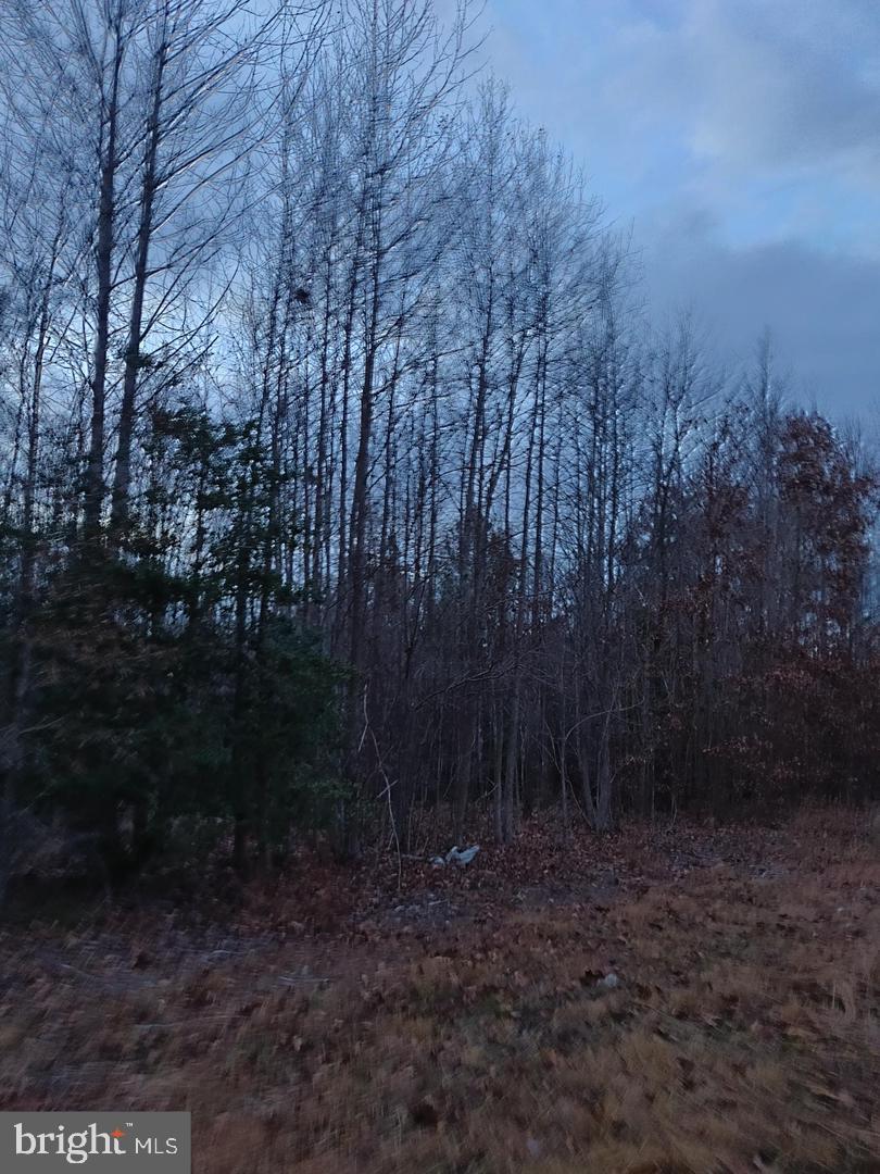 1 Us Route Ruther Glen, VA 22546 - Photo 6 of 8 a view of outdoor space and yard