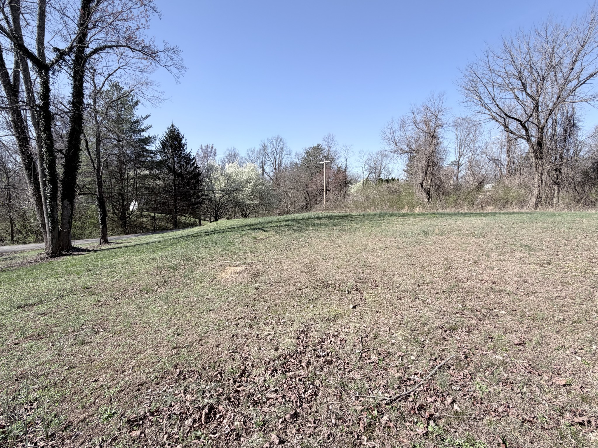 a view of a field with trees in the background
