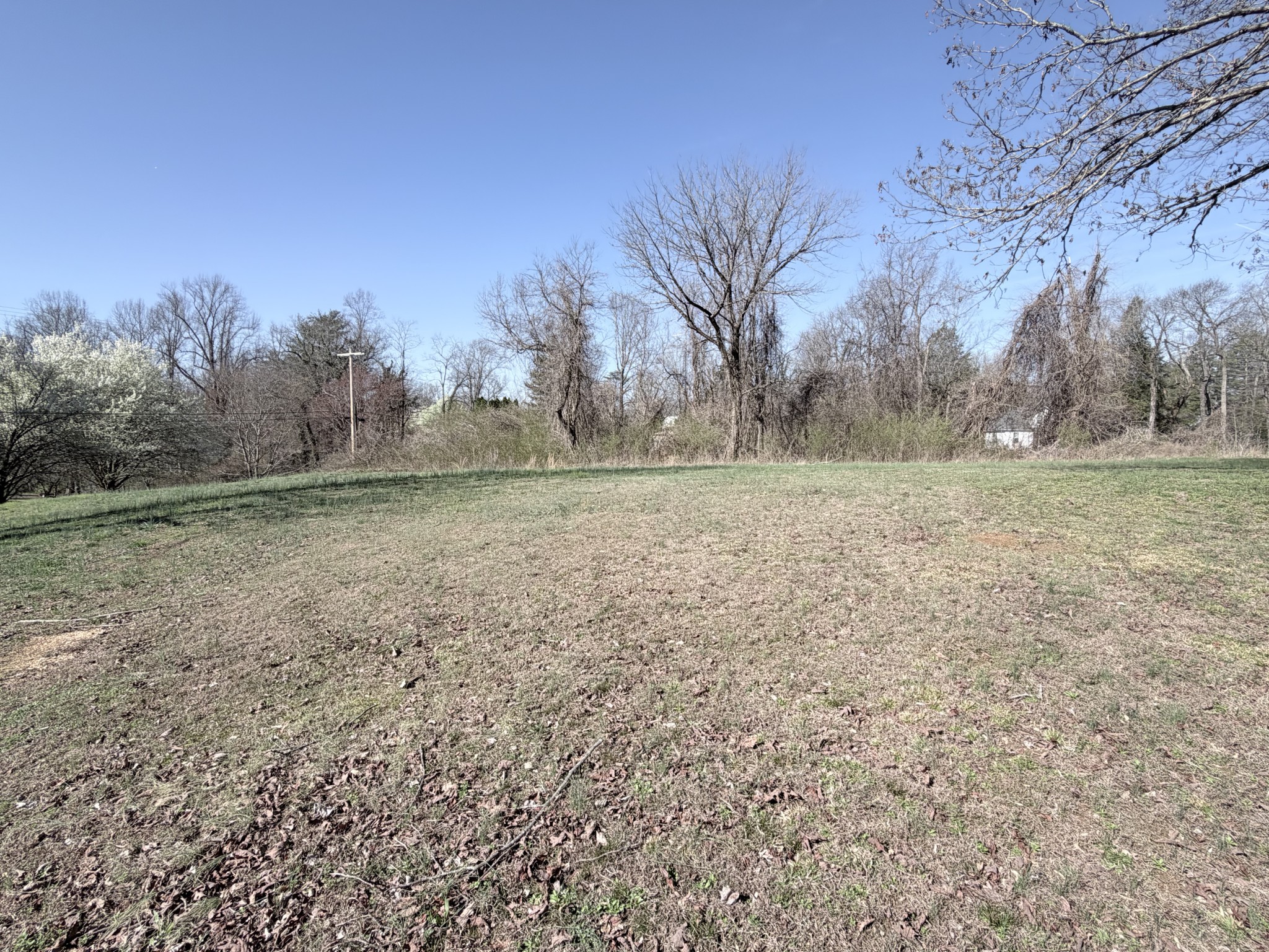 0 4th Street Monteagle, TN 37356 - Photo 2 of 6 a view of a field with trees in the background