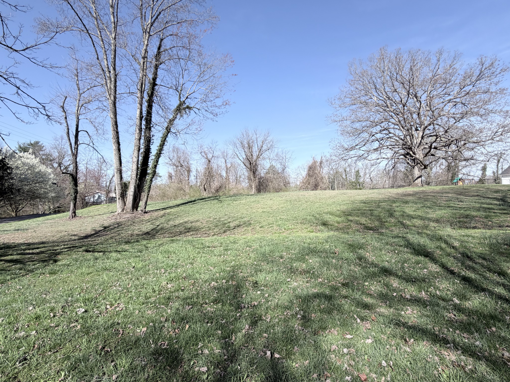 0 4th Street Monteagle, TN 37356 - Photo 3 of 6 a view of a yard with large trees
