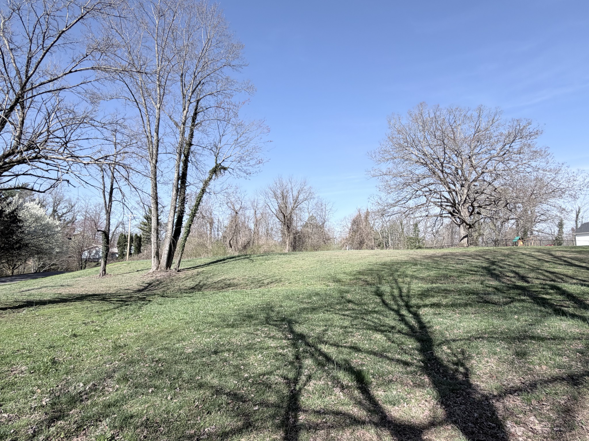 0 4th Street Monteagle, TN 37356 - Photo 4 of 6 a view of a field with large trees