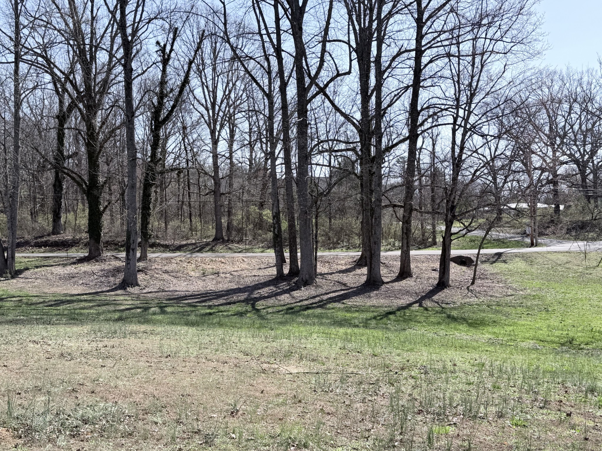 0 4th Street Monteagle, TN 37356 - Photo 5 of 6 a view of a fire pit with large trees