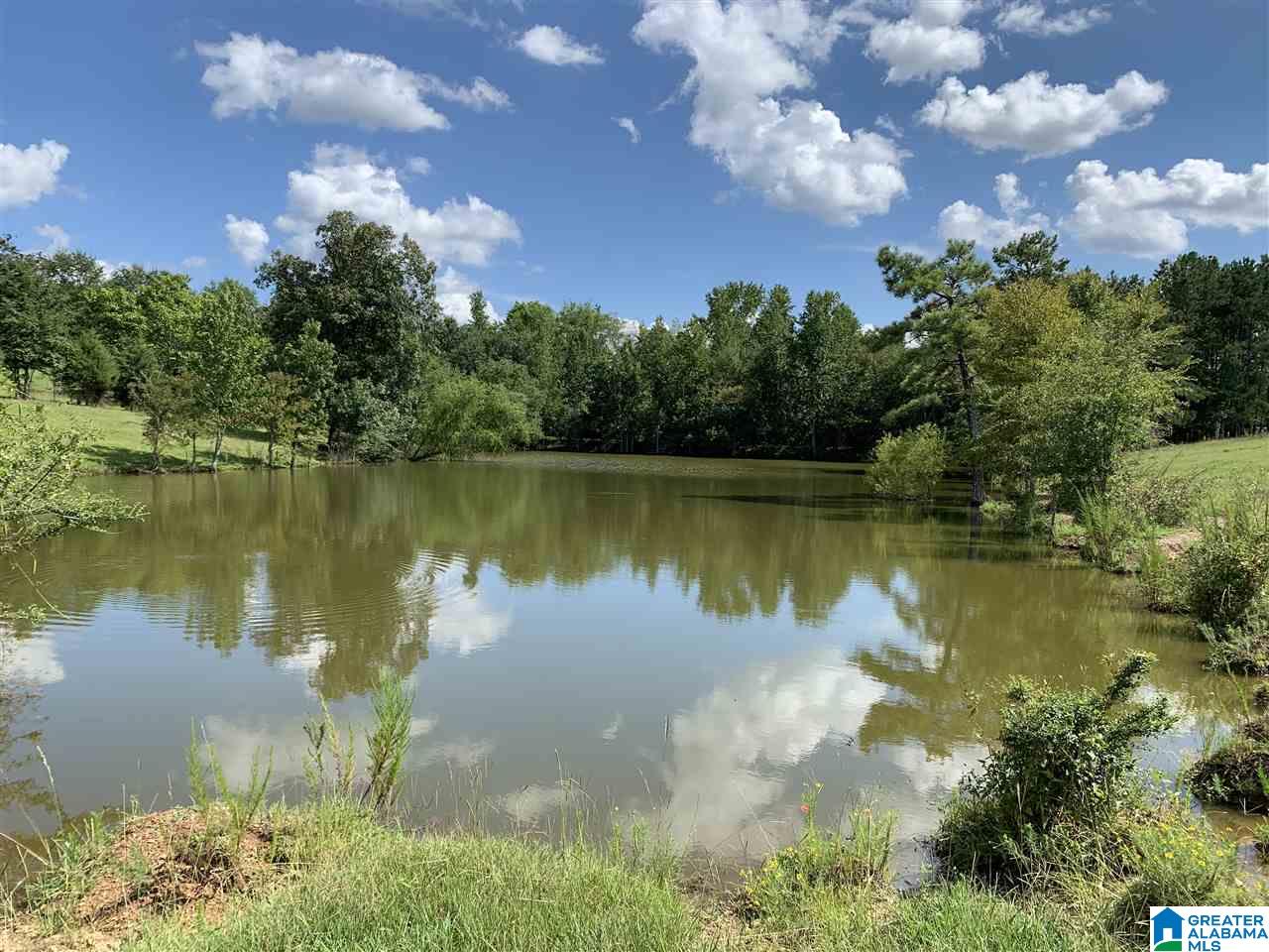 11392 Stemley Road Lincoln, AL 35096 - Photo 13 of 25
