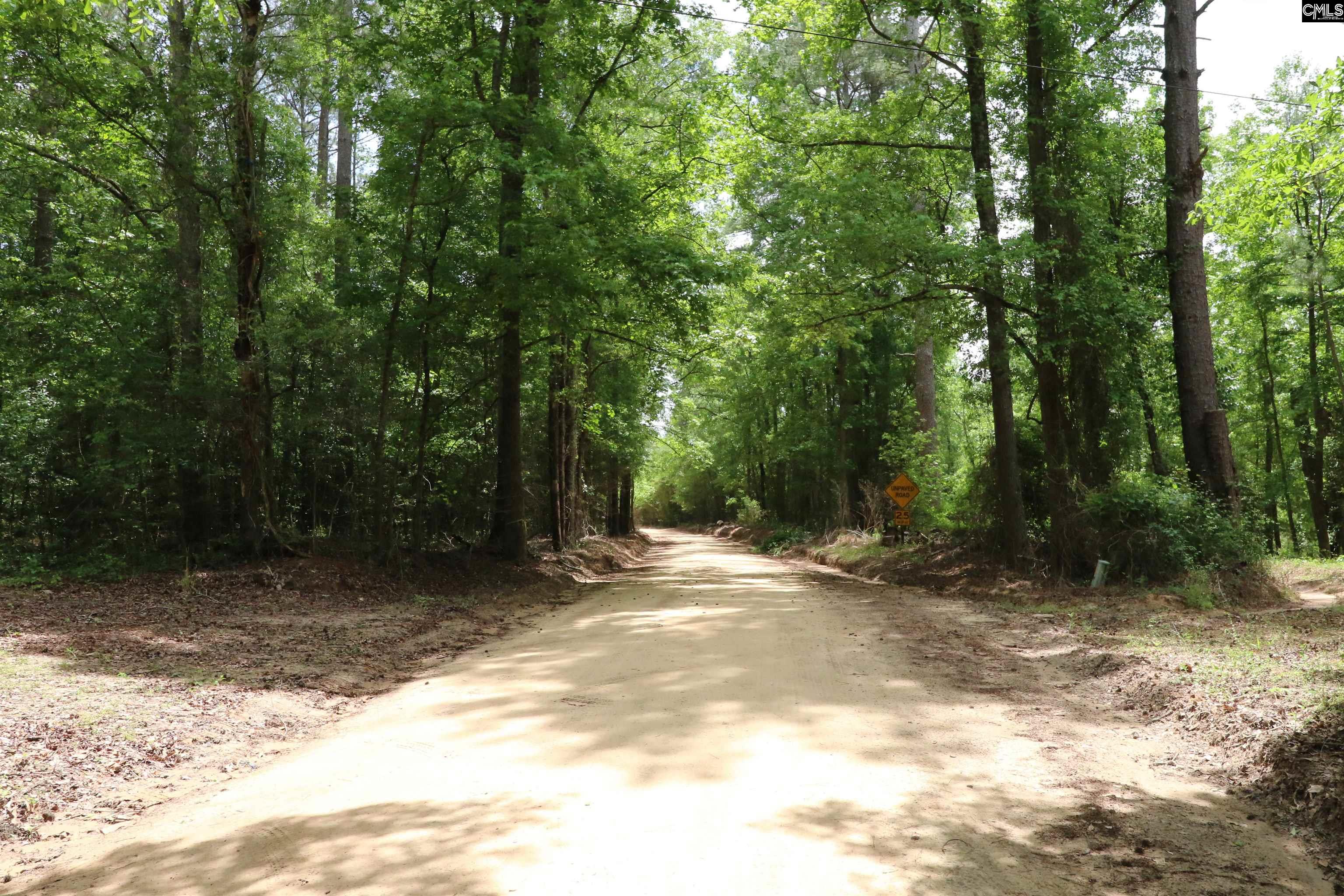 1091 Pine Grove Road Leesville, SC 29070 - Photo 19 of 19