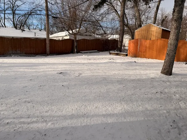 a backyard of a house with a tree