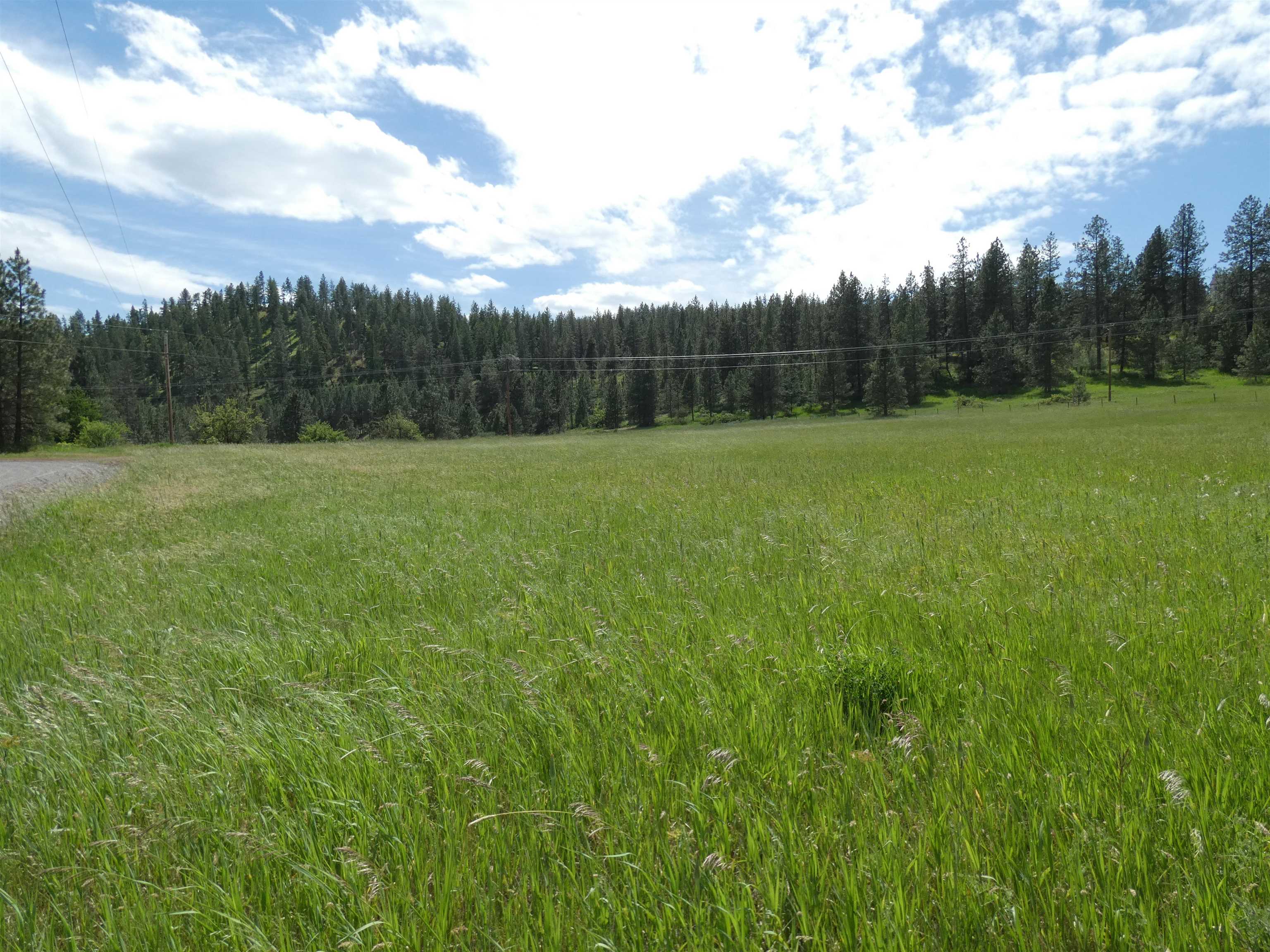 8309 West Jensen Road Cheney, WA 99004 - Photo 2 of 11