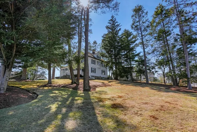 a view of a yard with a tree