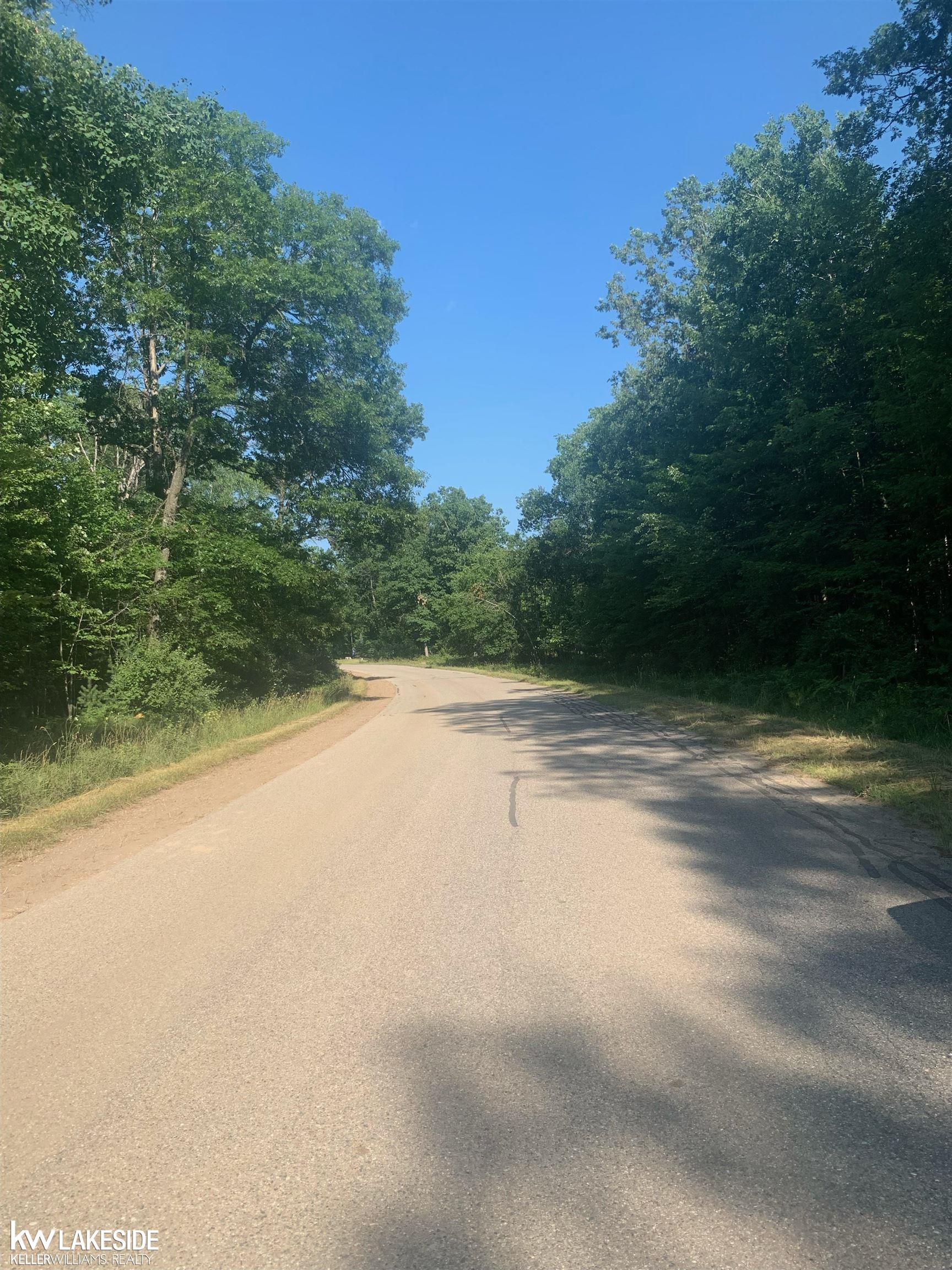 0 Hidden Hills Road Houghton Lake, MI 48629 - Photo 2 of 5