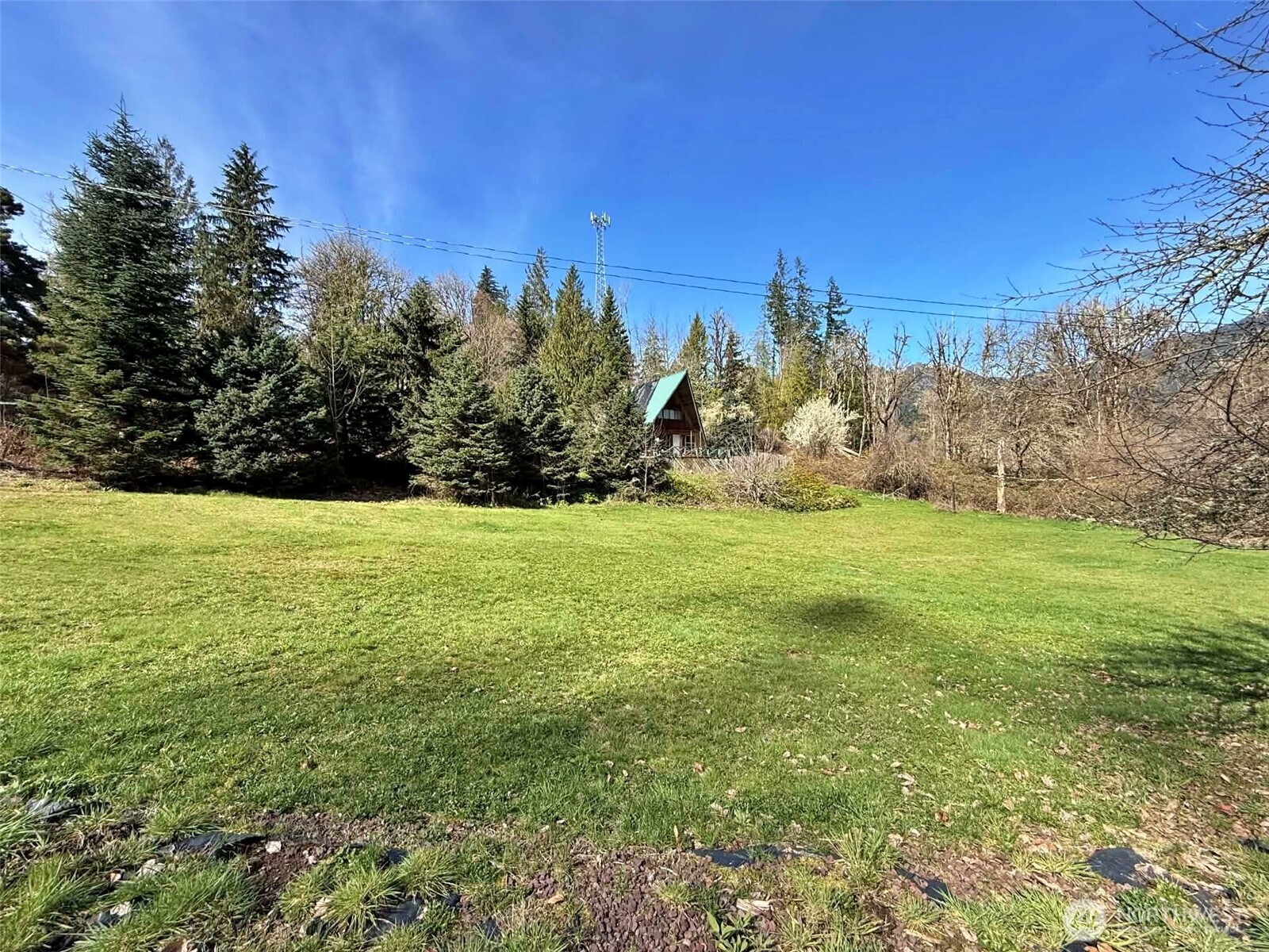 360 Peters Road Randle, WA 98377 - Photo 6 of 19