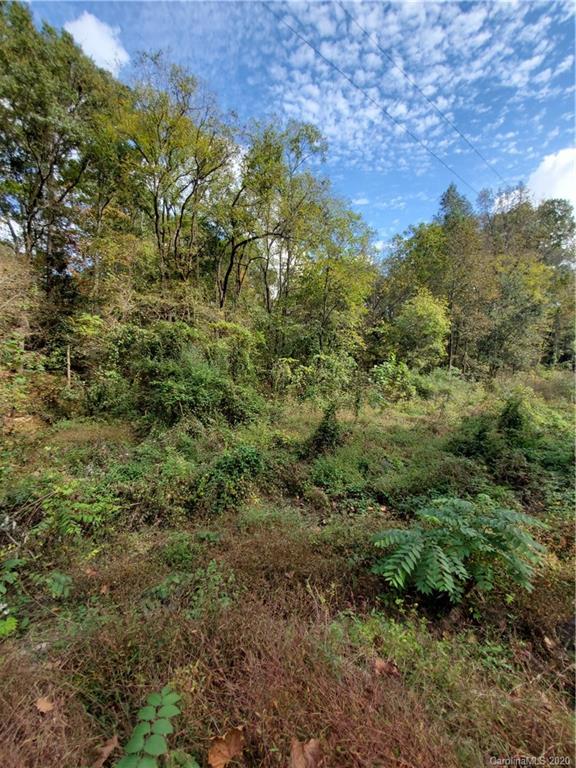 0 Foster Lake Road Blacksburg, SC 29702 - Photo 1 of 4 a view of a lush green forest with lots of trees