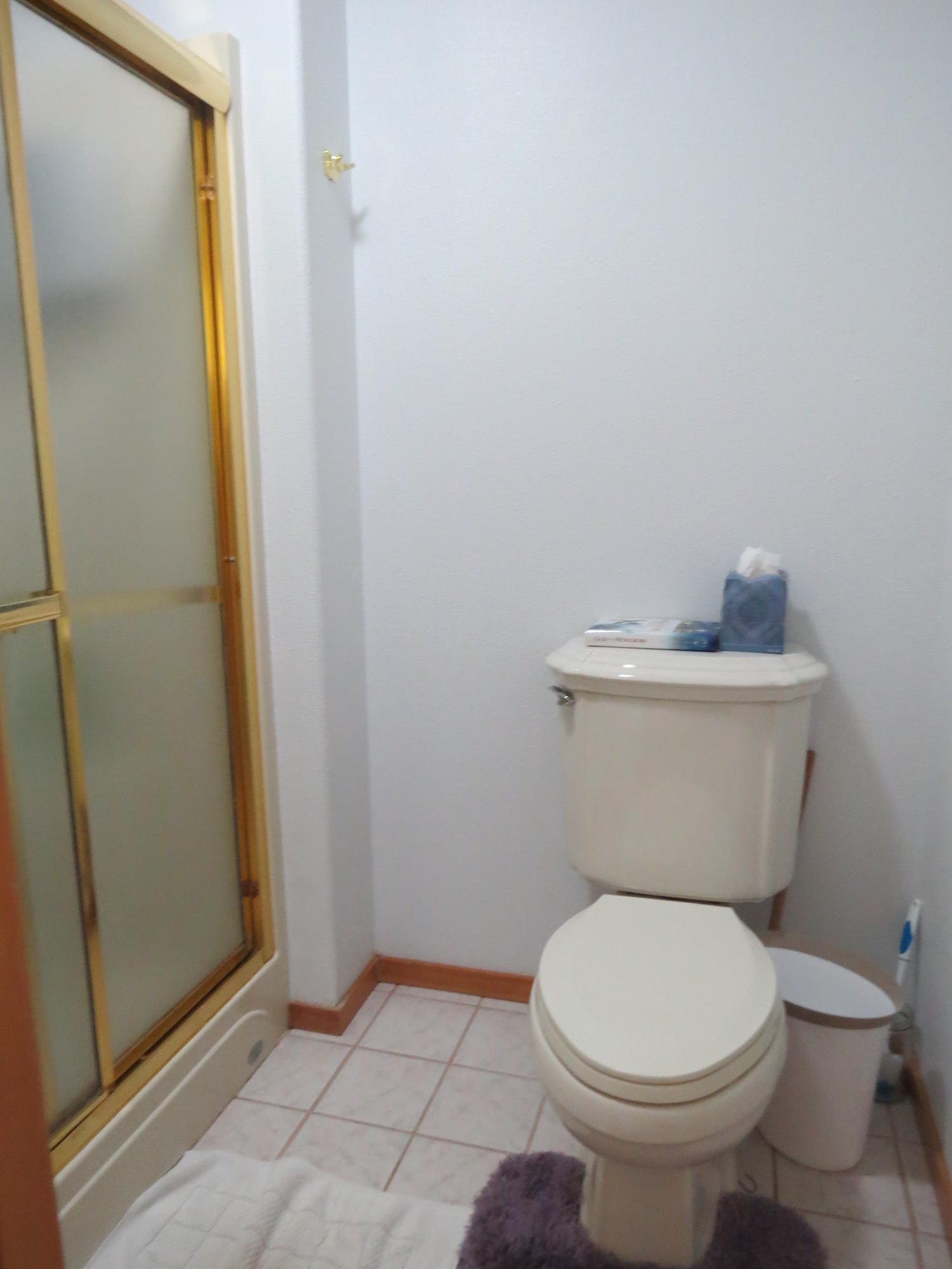 22305 Blaine Road Beaver, OR 97108 - Photo 11 of 17 Master Bath Shower & Toilet