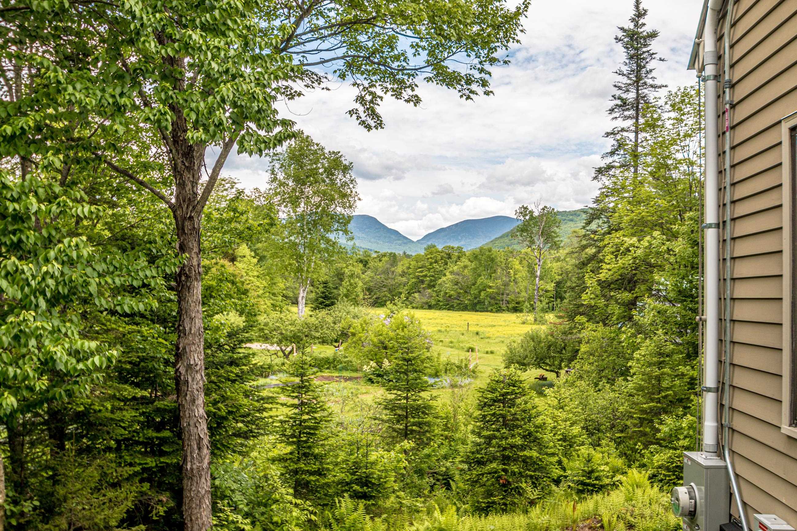 348 Carter Notch Road Jackson, NH 03846 - Photo 2 of 40