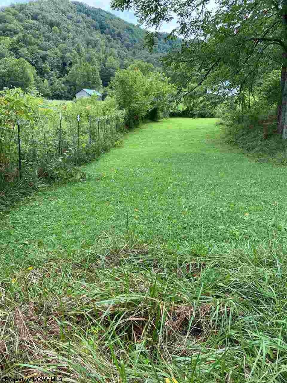 11305 Wilsie Road Rosedale, WV 26636 - Photo 8 of 17 Gallery Image 8