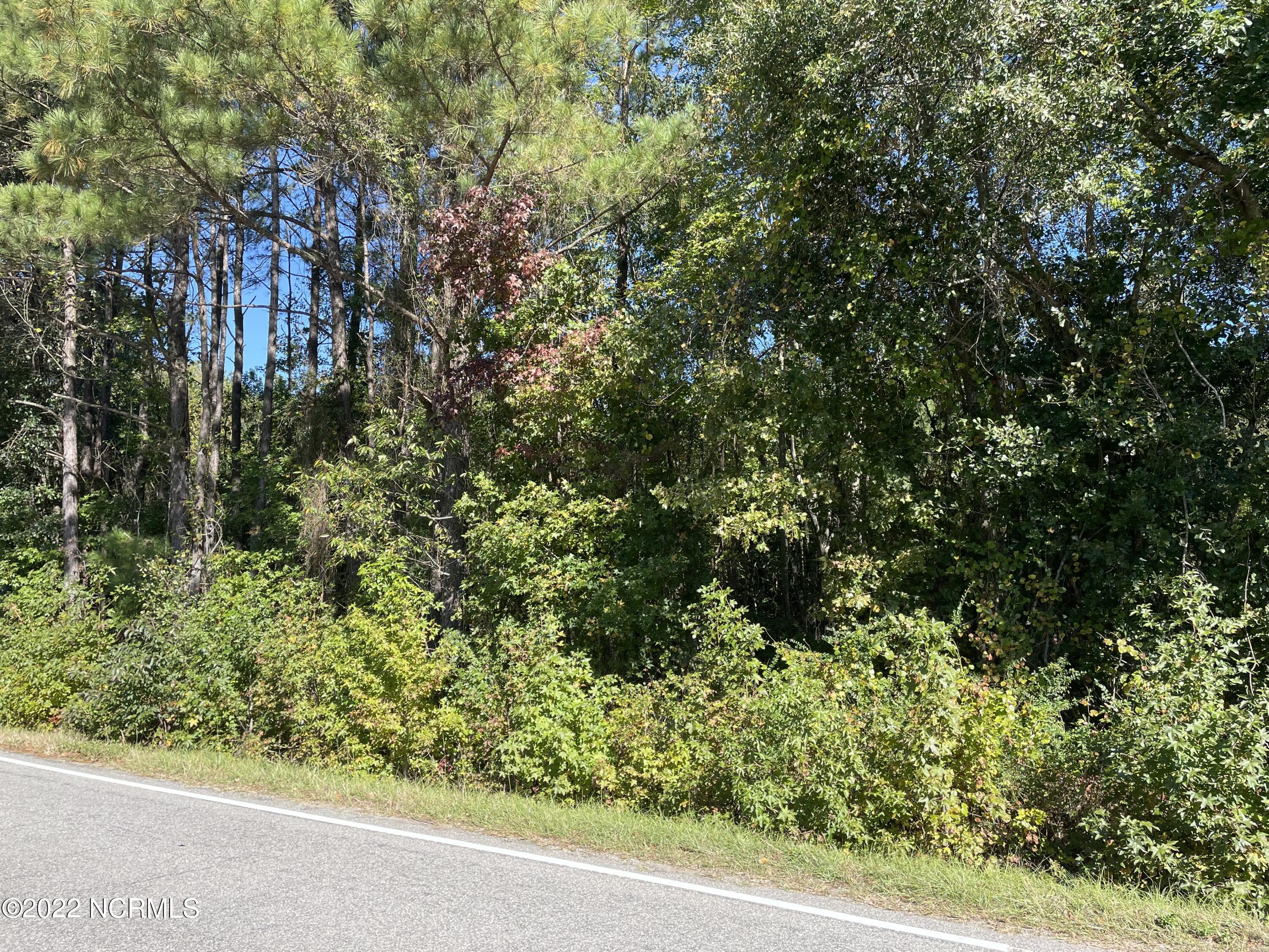 3 Autryville Road Autryville, NC 28318 - Photo 2 of 8 Road frontage view