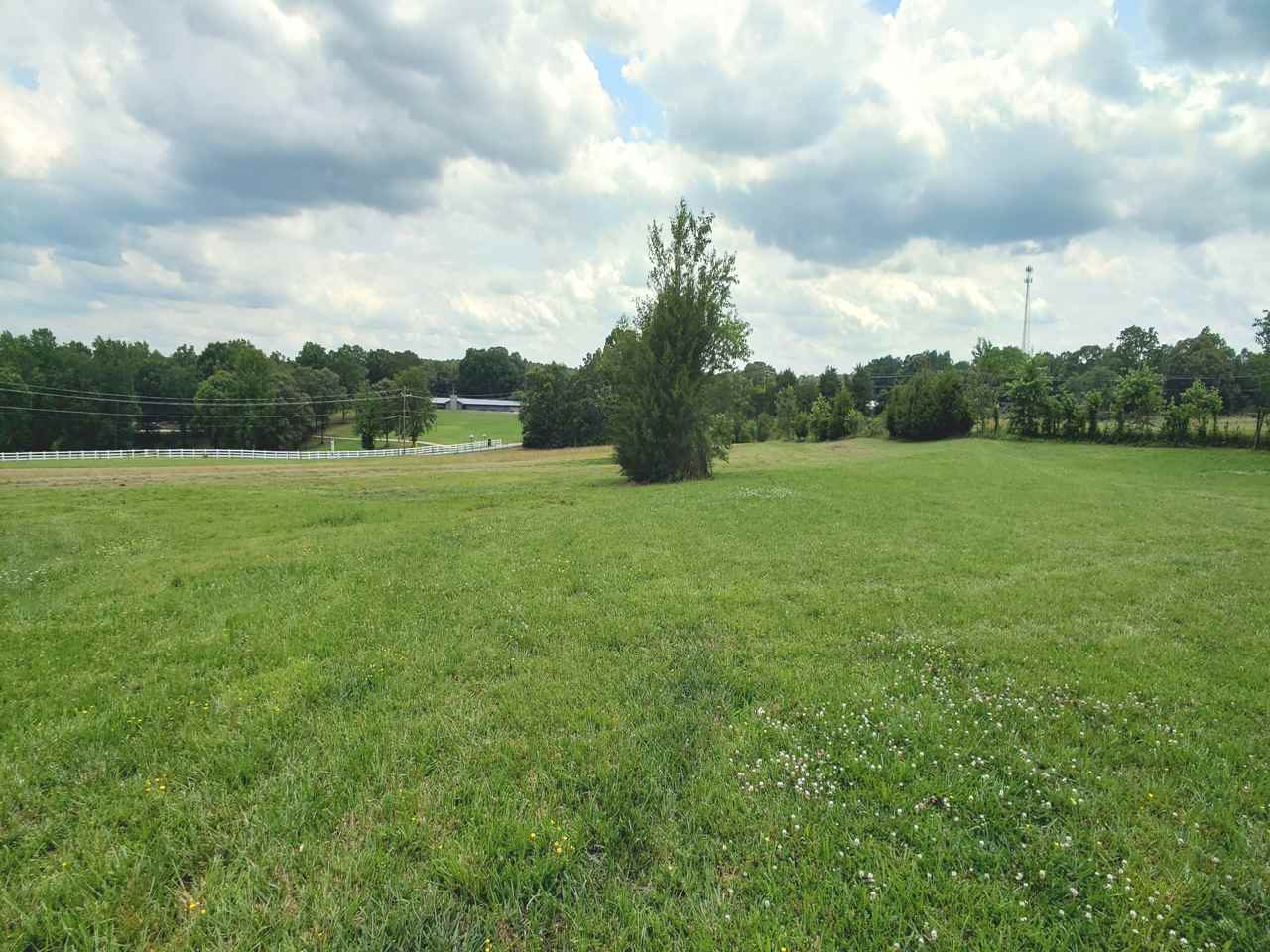 398 Old Batson Road Taylors, SC 29687 - Photo 2 of 6