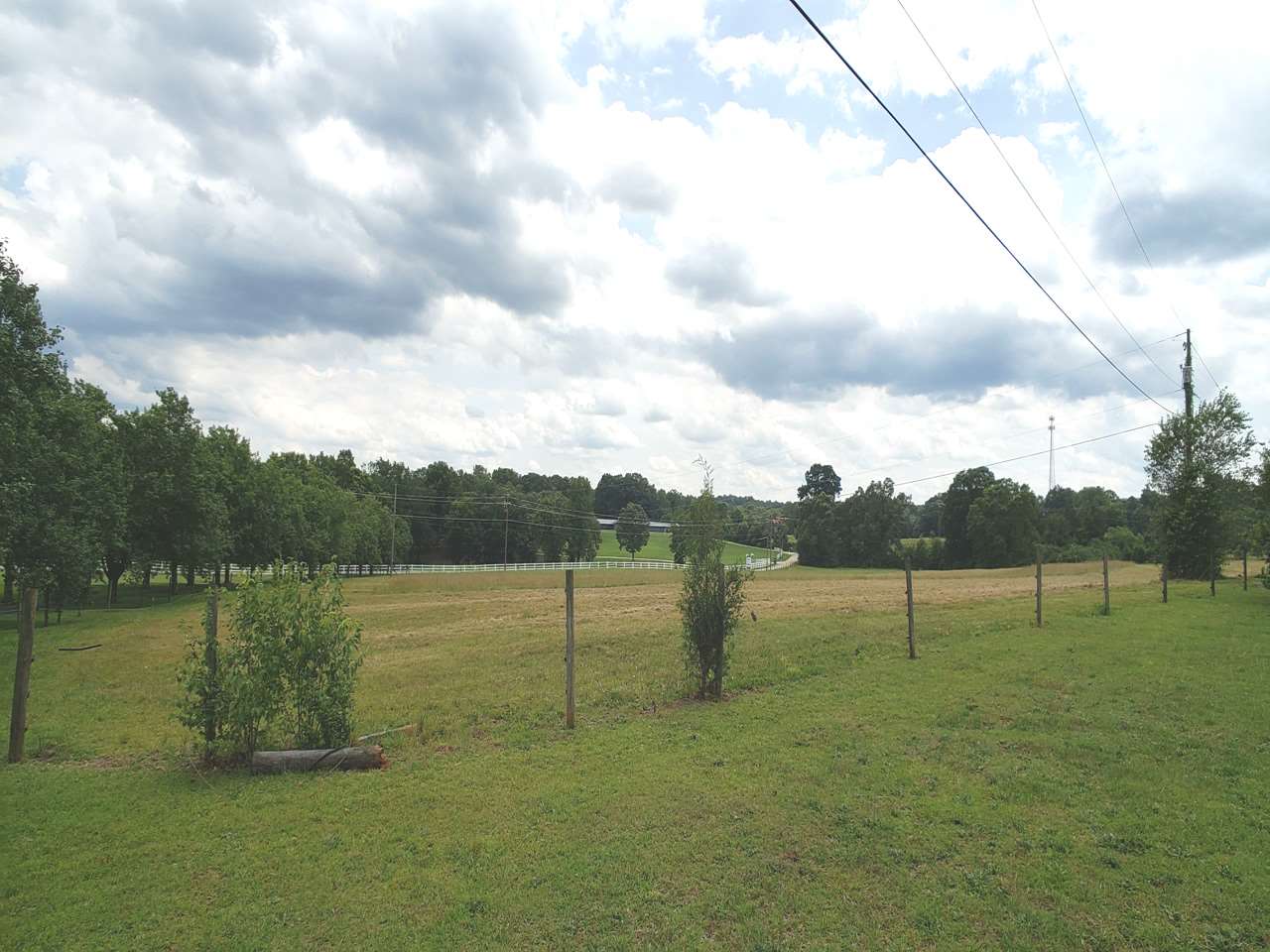 398 Old Batson Road Taylors, SC 29687 - Photo 3 of 6