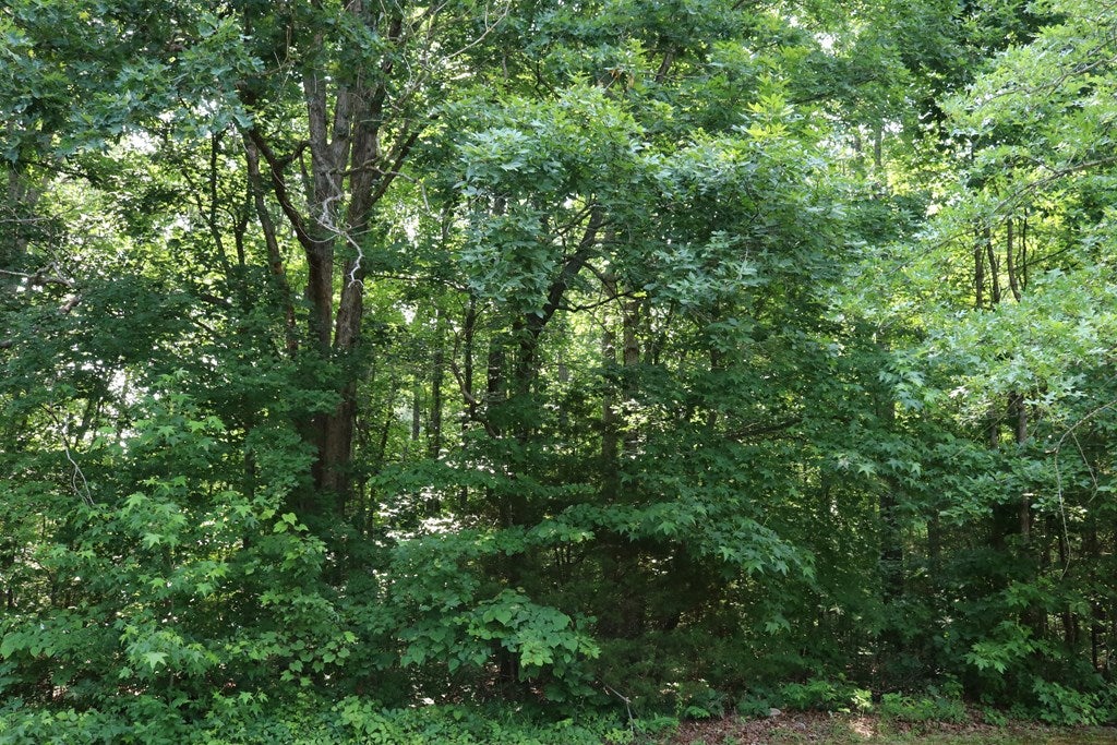 77 Goshen Road Cumberland, VA 23040 - Photo 26 of 27 Gallery Image 26