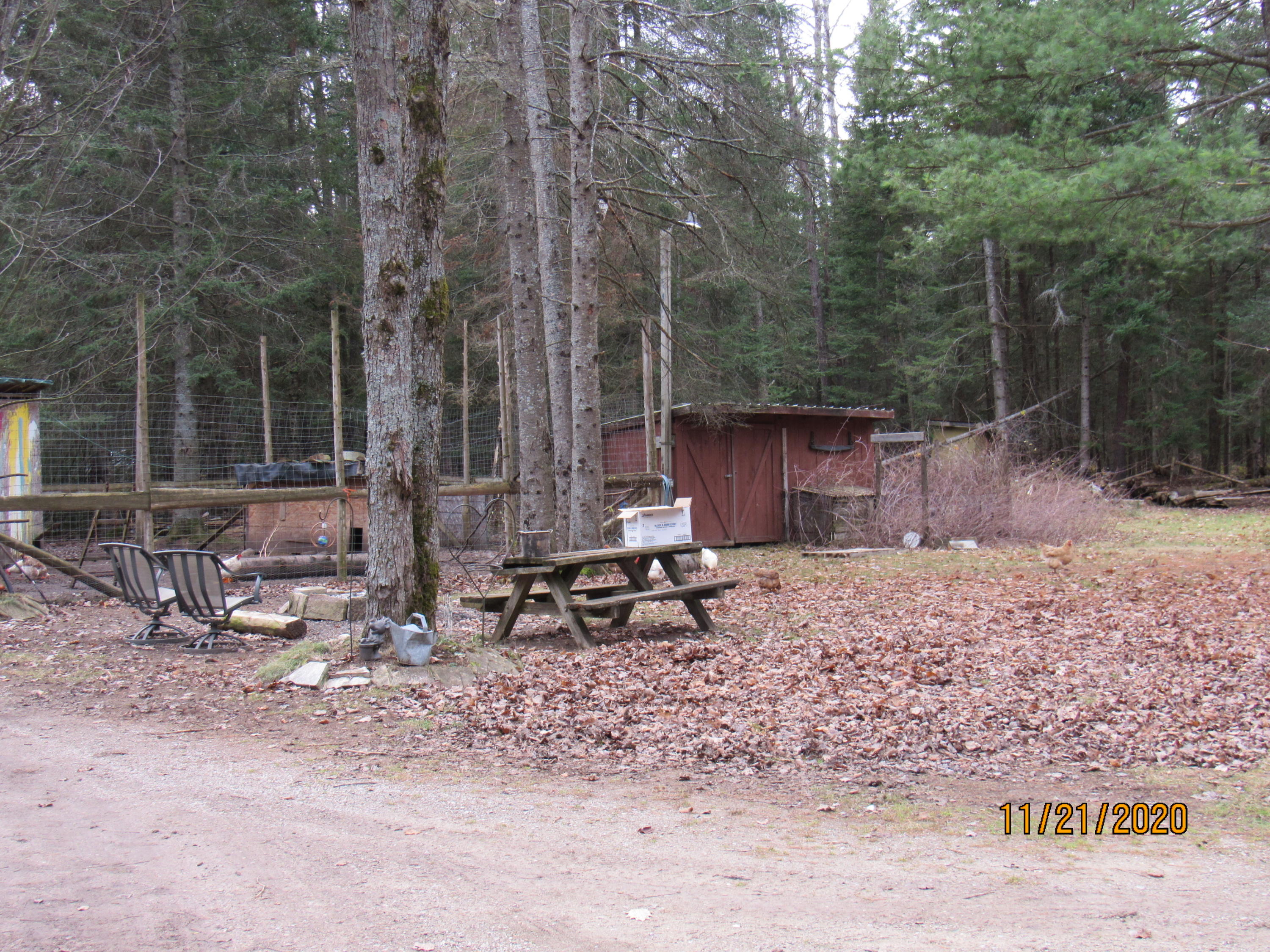 10899 Cope Road Onaway, MI 49765 - Photo 20 of 54 Gallery Image 20