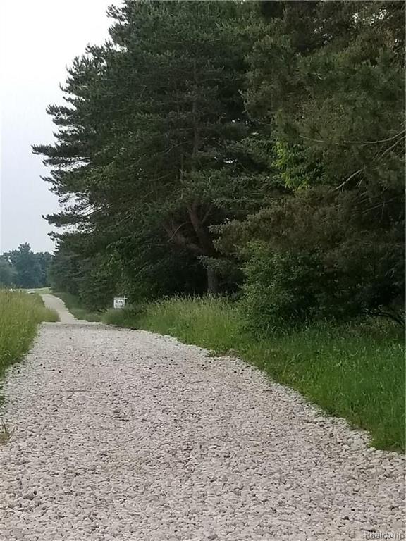 Parcel N Weller Gregory, MI 48137 - Photo 2 of 26