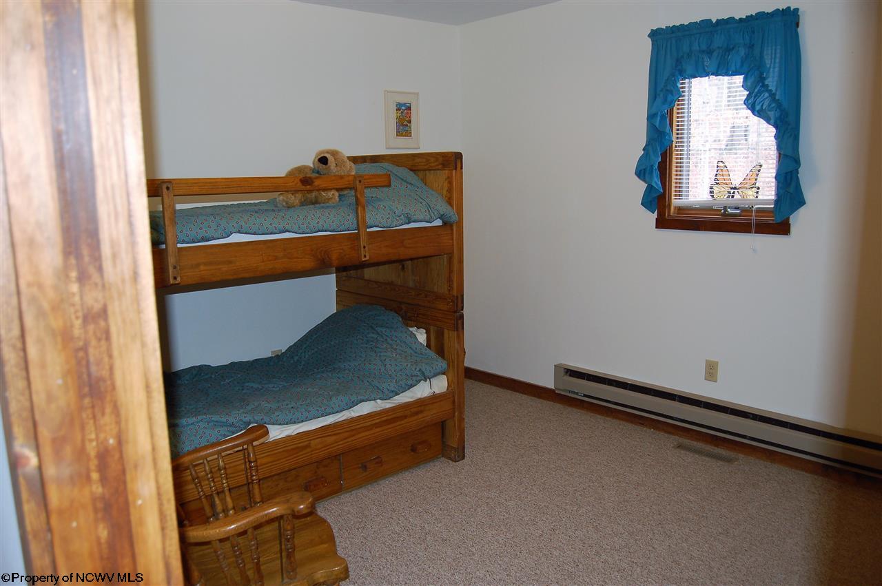 454 Cabin Mountain Road Davis, WV 26260 - Photo 7 of 20 Gallery Image 7