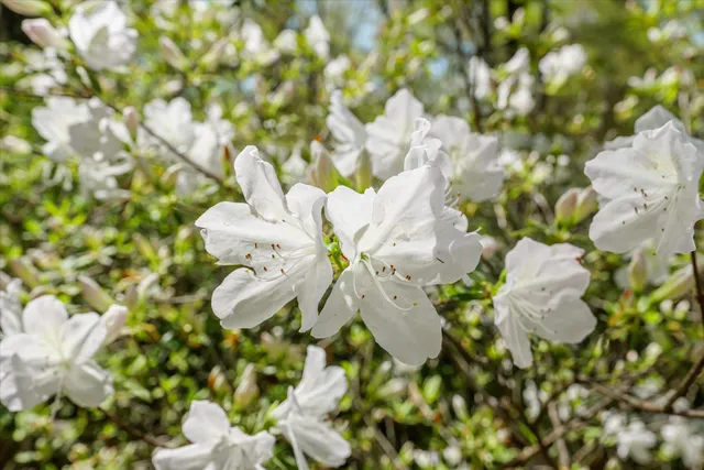 $2,150,000 | 3593 Silver Bluff Road, Aiken, SC 29803