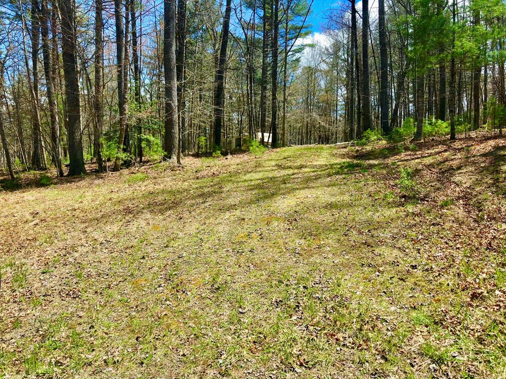 Tbd Millstone Road, Unit 16 Woodlawn, VA 24381 - Photo 1 of 12 Gallery Image 1